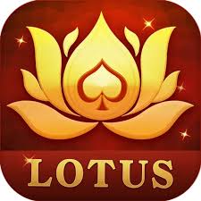 hello rummy bonus download